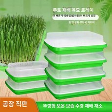 콩나물 발아기 무토양 채소 재배용 발아판 가정용 육묘 트레이, 확대형 두꺼운 1개 + 1개 1세트, 1개, 1g
