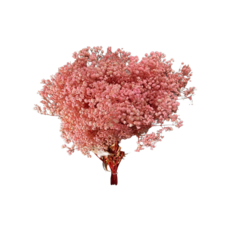 W&T花藝資材 台灣現貨開發票 17色 永生滿天星 乾燥花 永生花配花 不凋滿天星 花材, 淺粉