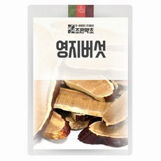 굿허브 영지버섯 500g, 1개