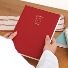 2025년 가계부 2024-12-2025-12 장부, 레드