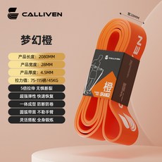 Calliven 彈力帶套裝，多種阻力級別，全身訓練，附手柄，居家健身必備, 1個
