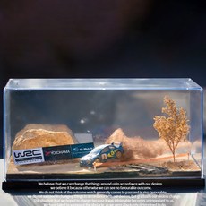 1:64 WRC 랠리 디오라마 씬 모형, 1개