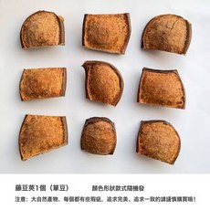 雲南榼藤大豆莢手工DIY娃娃材料 植物果實標本擺件收藏平安豆, 1個, 榼藤豆莢1個(單豆):1個