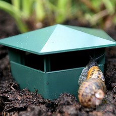 두루픽 달팽이 집 하우스 키우기 애완달팽이, 1개