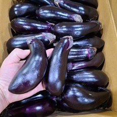 아빠농산 국내산 못난이 가지, 1박스, 5kg