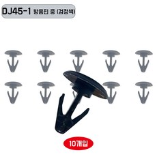 자동차 내장재핀 DJ45-1 도어핀 고정클립 방음핀 중 내장핀 고정핀 1봉 10개입 푸시 클립 차량용 공구, 1개