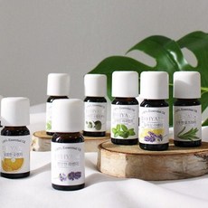 캐리어오일 THS 더허브샵 바이향 에센셜오일 11종택1 10ml, 산뜻한로즈마리