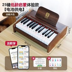 미니 피아노 25건 2옥타브 연습용, 25건반 호두색 (배터리)