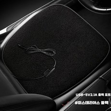 난방 쿠션 의자 차량용 자동차 온기 쇼파 등받이 대기실, 블랙