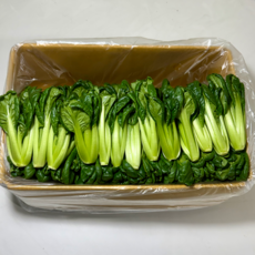 농진사 다채 비타민 채소, 1개, 2kg