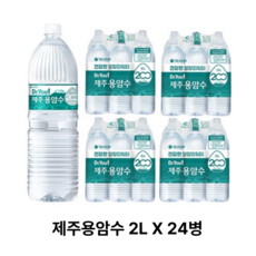 오리온 제주용암수 2L 24PET, 24개