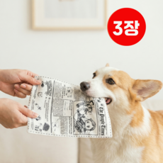 ITSKA 바스락 소리나는 혼자놀기 신문지 반려동물 강아지 장난감 3개입, 3개, 그레이
