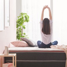 헤이몰리 라포즈 독립 40T 메모리 유로탑매트리스 S