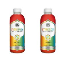 GTs Synergy 콤부차 트릴로지 473ML 2개, 1개입