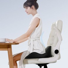 공부 허리지지 쿠션 바른자세 메모리폼 기능성 방석 986000ea (개), 본상품