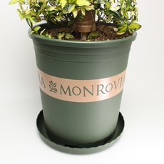 모스그린 플라스틱화분, 1개