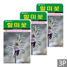 세인화분 할미꽃 50립 - 야생화 다년생 들꽃 꽃 씨 씨앗, 3개