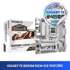 GIGABYTE B850M DS3H ICE 피씨디렉트