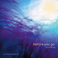 (영문도서)before you go: an Offering Paperback, Tripwire Harlot Press, English, 9781734140293