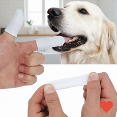 강아지건강 관리 강아지 구강관리 일회용 핑거 덴탈 클리너, 손가락거즈칫솔 2p