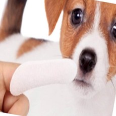 [1+1] 구강청결 손가락용 티슈 30매 입술보호 애완견 치아세정 입속세균 반려견 sc0+135KE, 30