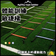 敏捷梯 速度梯 體能訓練 標誌盤 足球籃球訓練 跳格子 可連接, 1個, 6米12節(贈收納袋)-黃色