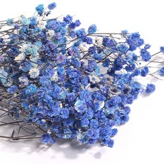 화연양화 프리저브드플라워 안개꽃 일반안개 9색 40~60cm, 08 블루