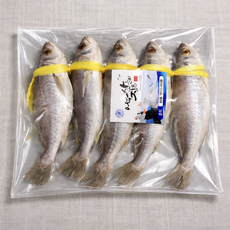 프리미엄 민어굴비세트 대형 명절용 선물세트 손맛 가정식 반찬 깔끔포장 냄새없는 굴비 추천, 1개, 1.5~2.0kg(5마리 / 26cm전후)