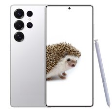 삼성전자 갤럭시 S 25 울트라 새상품 미개봉, 256GB