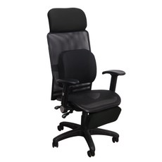 LOGIS 超高大鋼背3D腰枕全網椅 人體工學椅 台灣製 559MZ3D, 黑色