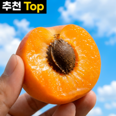 [5년연속완판] 어스담 산지직송 달콤쫀득 살구, 1개, 500g 대과