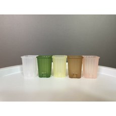 오년일기 컬러 미니 투명 슬릿분 플라스틱 사각화분 호야, 1개, 그린