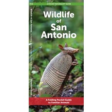 (영문도서)Wildlife of San Antonio: A Folding Pocket Guide to Familiar Animals Paperback, Waterford Press, English, 9781620058572