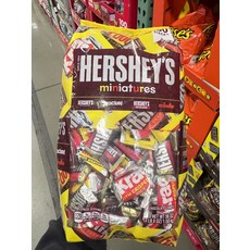 허쉬 미니어처 초콜릿 캔디 어소티드 180개입, 1.58kg, 1개