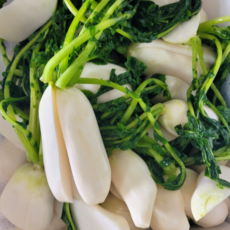 국내산 절임 알타리무 3kg 5kg 10kg 천일염으로 절인 손질 세척 총각무 초롱무, 1개, 절임알타리 10kg