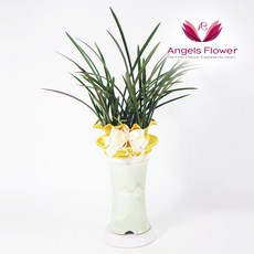 [엔젤스플라워] 마음을 전하는 축하화환 근조화환 축하화분 관엽식물 지역한정특가 꽃화환 당일배송 예약일배송, P201BS_철골소심 일반형, 1개, 1개