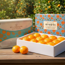 [선물가방] 제주 명품 천혜향 선물세트 초고당도 로얄과, 1박스, 3kg