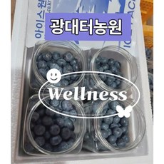 무농약인증 / 고냉지노지 / (국내산) 냉동블루베리 2kg /, 1박스, 중자 2kg