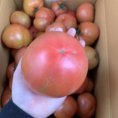 신자매상회 못난이 쥬스용 완숙 찰 토마토, 2kg (랜덤과), 1박스