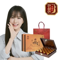 [농협홍삼] 한삼인 기력보감환 3.75g 25환 2세트+쇼핑백, 25정, 2세트