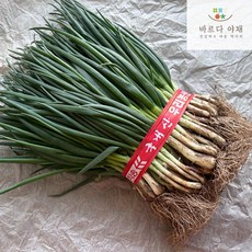 바르다야채 자연에서 온 국내산 흙쪽파 (950~980g), 950kg, 4개