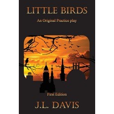 (영문도서) Little Birds Paperback, Irrillania Collection, English, 9798893425932