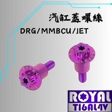 【瘋螺絲】ROYAL鈦合金螺絲 M6*28 P:1.0 DRG/SL缸蓋螺絲/雪花頭 64鈦/鈦合金 出貨附發票 皇家紫, 1個, 28