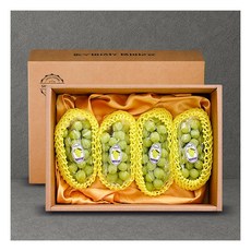 [새김천]샤인머스켓 실속 과일선물세트 1.8kg 3수~5수183440, 1개, 1.8kg 3~5수(실속)