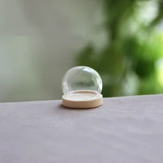 개방형 원형 유리 Cloche 글로브 디스플레이 돔 커버 병 영원한 나무 받침대가 있는 1/2X 20/25/30/35mm, 02 1pc, 07 NO1 25x20mm