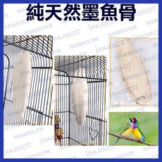 翔帥寵物生活館 墨魚骨 鸚鵡 陸龜 零食 營養補充, 1個, 小片10-17CM