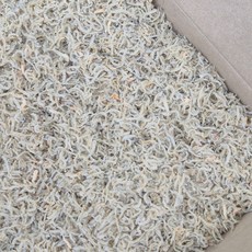 오늘의바다 국산 햇 업소용 세세멸치 1.5kg 실속형 아기 지리멸치 (당해 생산), 1개