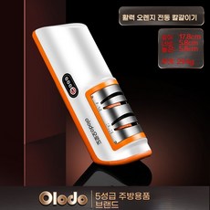 전동 칼갈이 3초자동 클래식 칼가는기계 블랙 업소용 숫돌 전기 전동, B. 독일의 무선 전기 나이프 샤프너로 수출 폭력 오렌