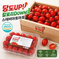 [고당도] 스테비아 방울토마토 스위트 토마토, 1박스, 1kg (500g 2팩)
