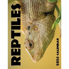 (英文圖書)Reptiles 2026 Calendar 平裝版, Baldega Books, 英文
